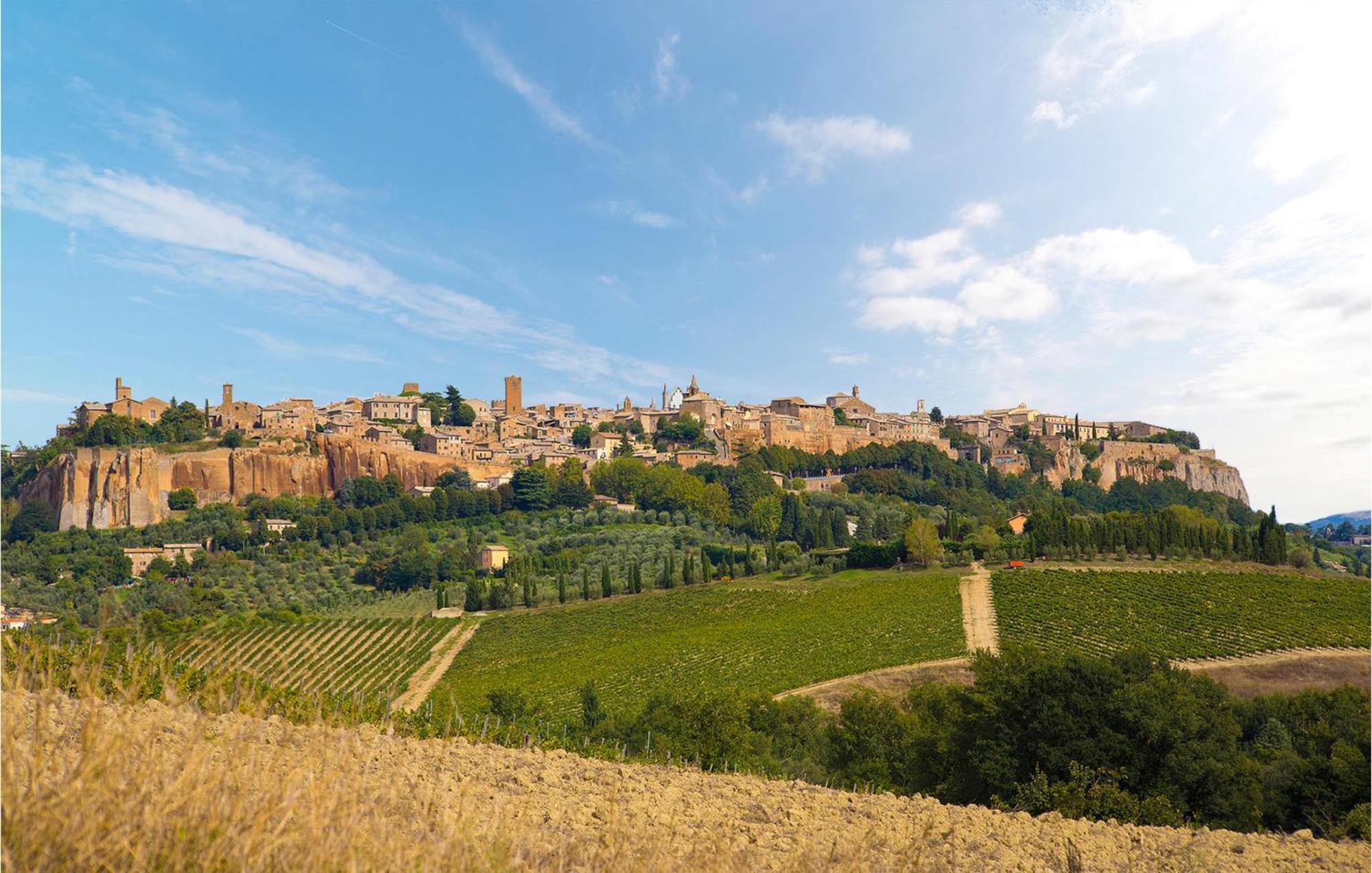 Gorgeous In With Wifi Apartment Portaria